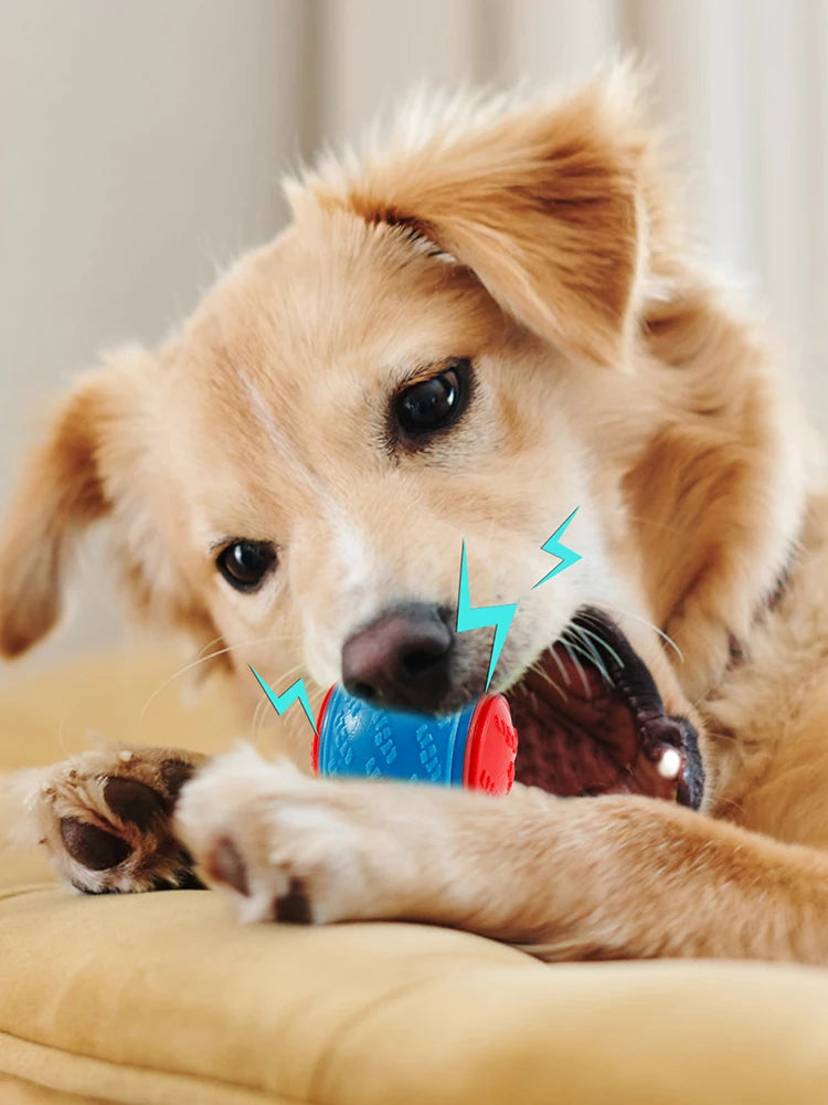 6Pcs Dog Squeaky Balls Toys Interactive Soft TPR Dogs Chew Toy for Pet Teeth Cleaning Bite Resistance Pet dogs accessories by PawHaven