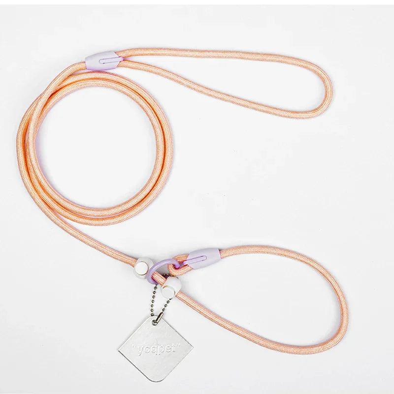Nylon Colourful Leashes Pet Small Dog Round Rope Lead P Chain Collar Adjustable for Dogs Training Puppy Walking Leash by PawHaven