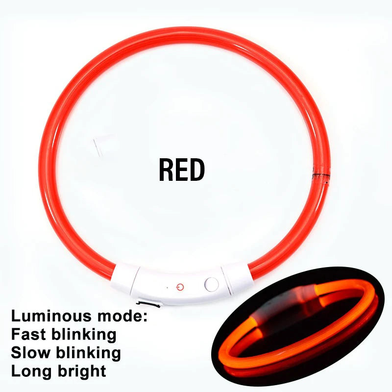 AuroraLux LED Night Collar For Dogs And Cats With 3 Modes by PawHaven