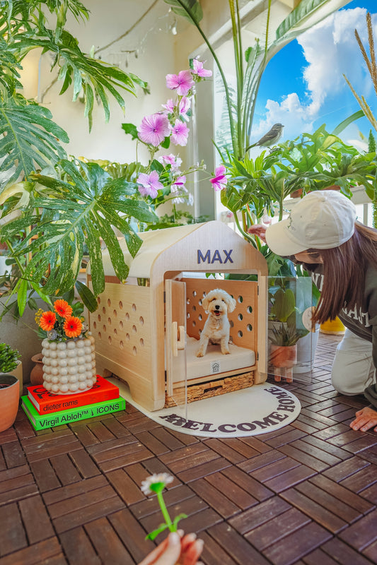 Woman looking at dog in wooden kennel surrounded by plants