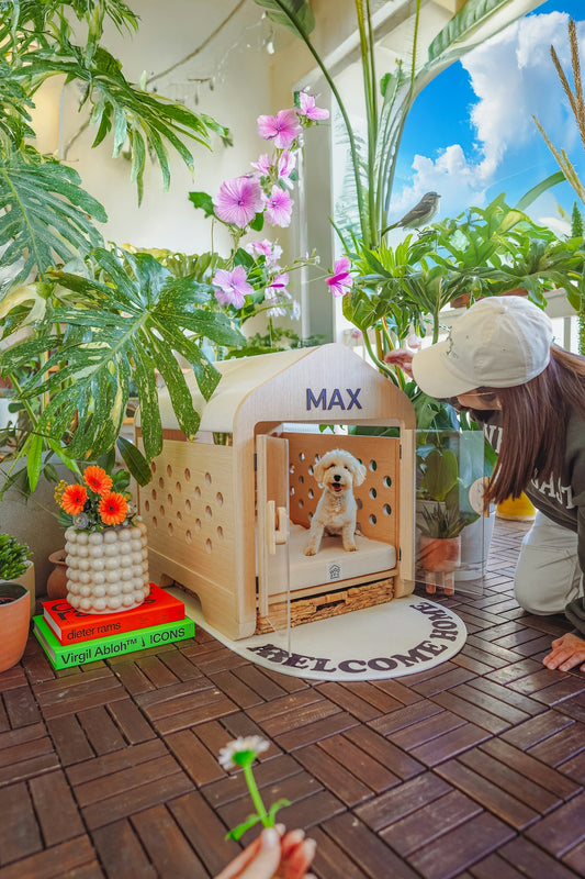 Woman looking at dog in wooden kennel surrounded by plants