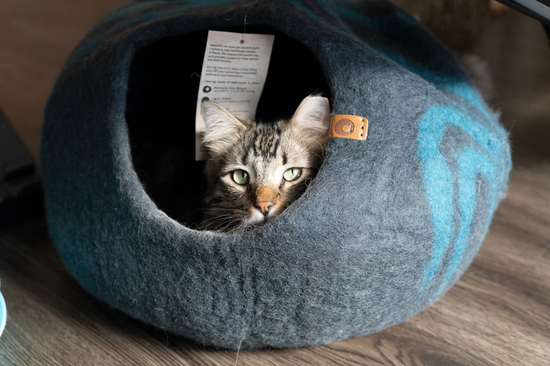 A tabby cat peeking out of a felt cat bed.