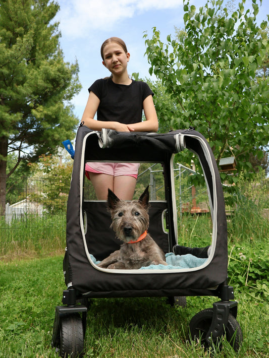 Young girl stands with dog in pet stroller outdoors.
