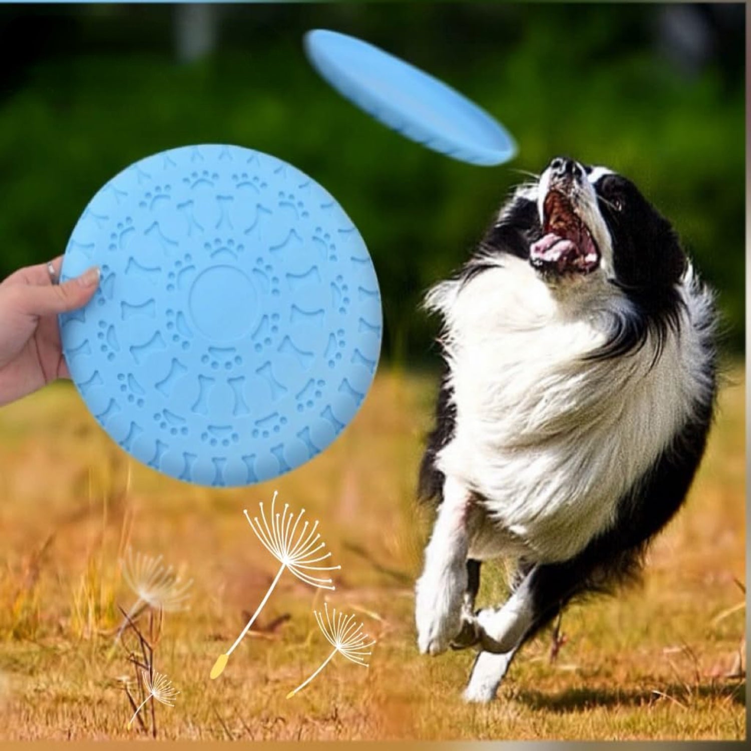 Durable, Lightweight and Aerodynamic Floatable Dog Flying Disc - Interactive Pet Training Toy for Active Dogs by PawHaven