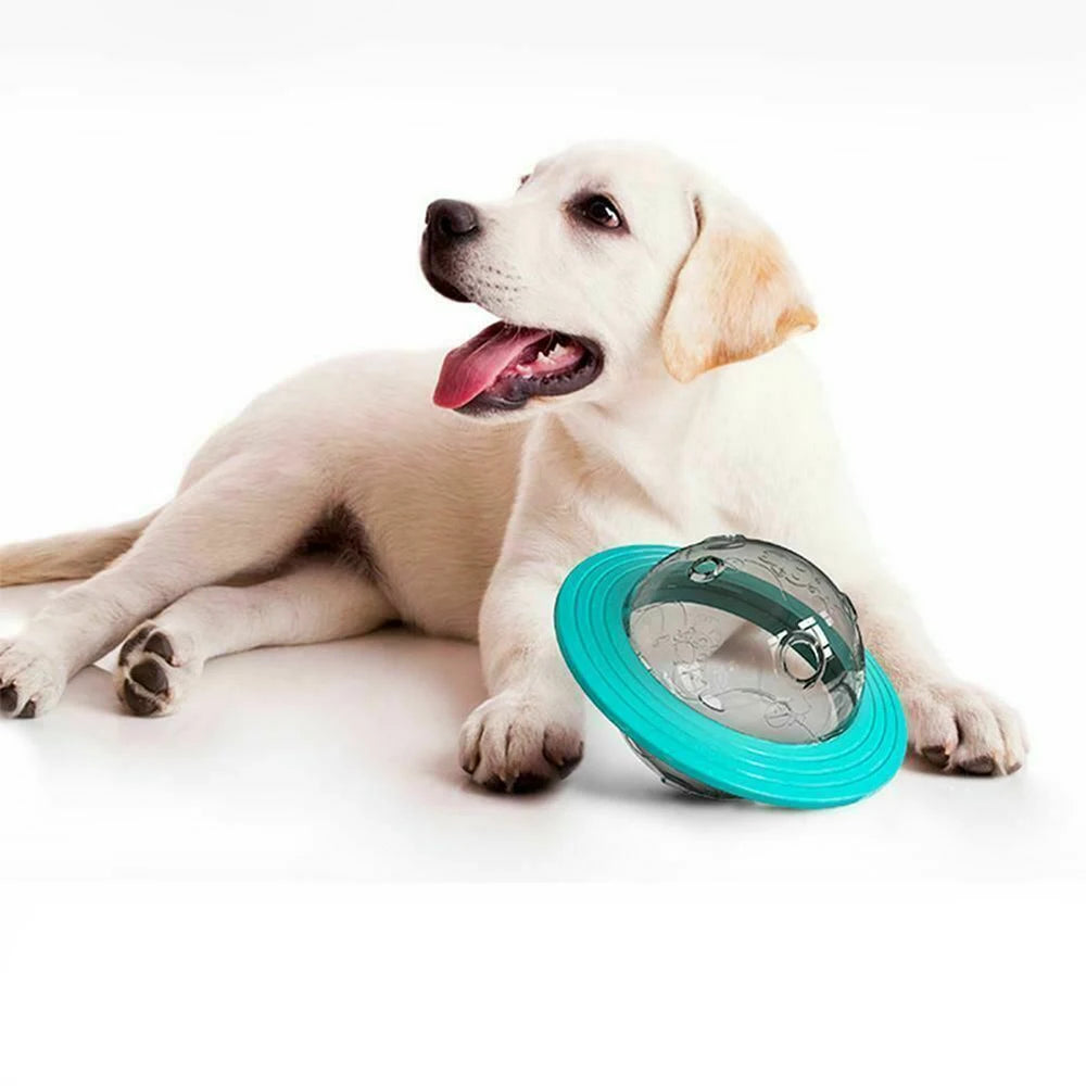Premium Treat Puzzle Ball Feeder for Dogs and Cats by PawHaven