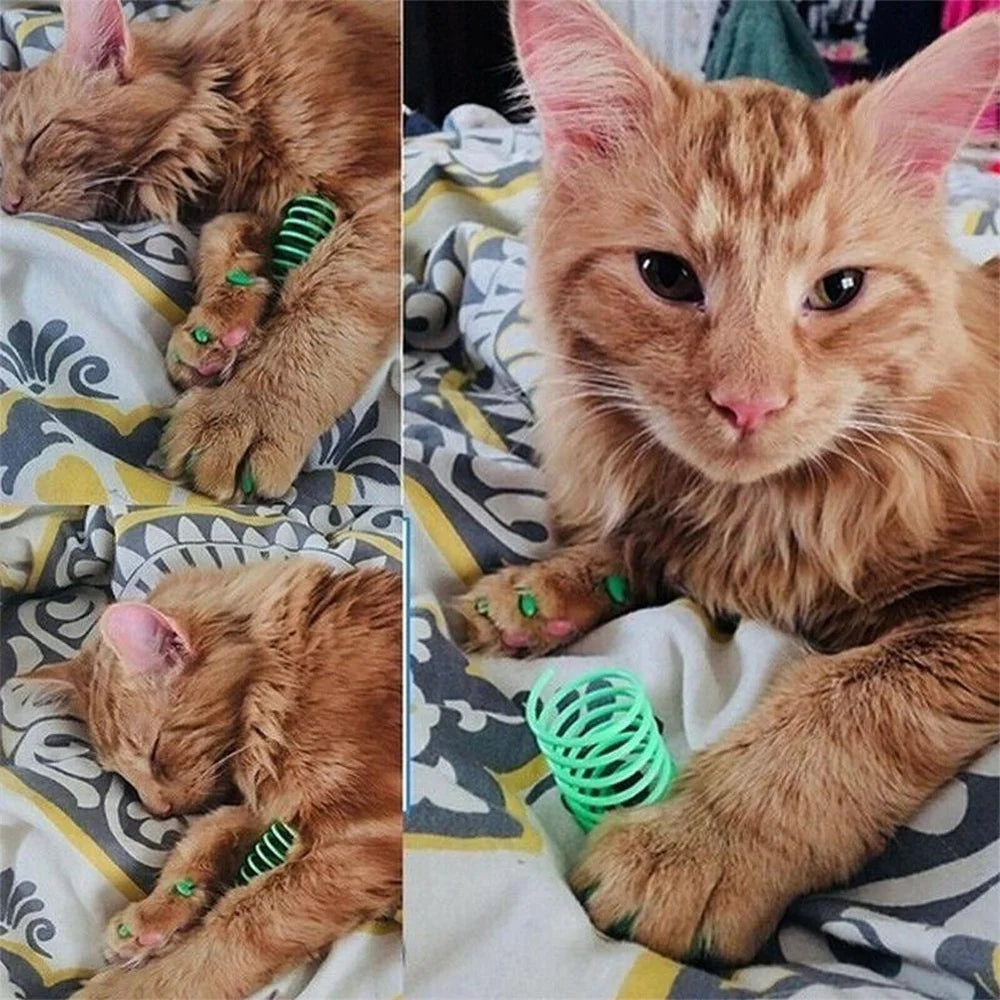 Premium Cat Spring Toy Kit Interactive Bouncy Play by PawHaven