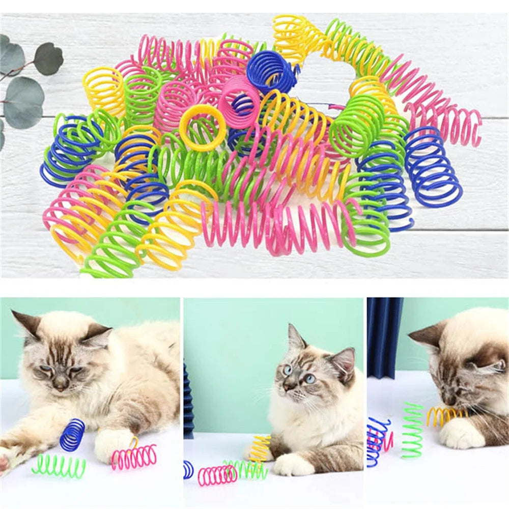 Premium Cat Spring Toy Kit Interactive Bouncy Play by PawHaven