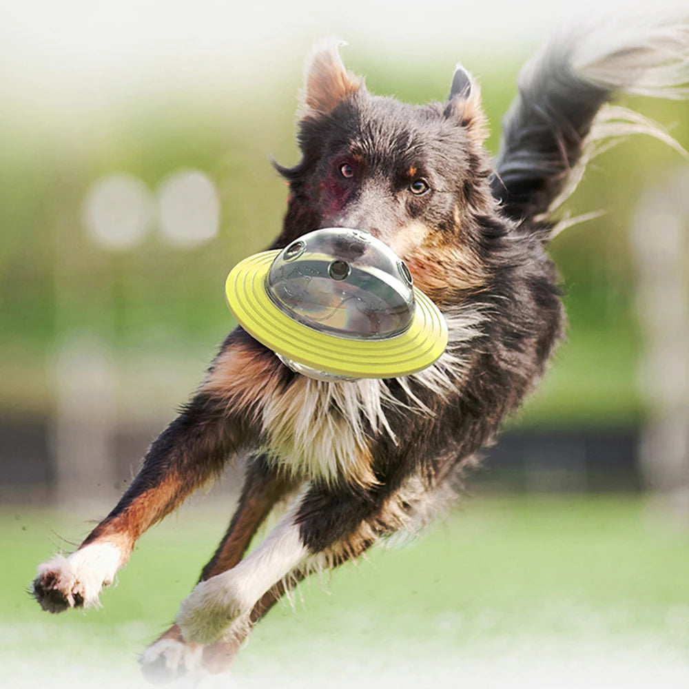 Premium Treat Puzzle Ball Feeder for Dogs and Cats by PawHaven