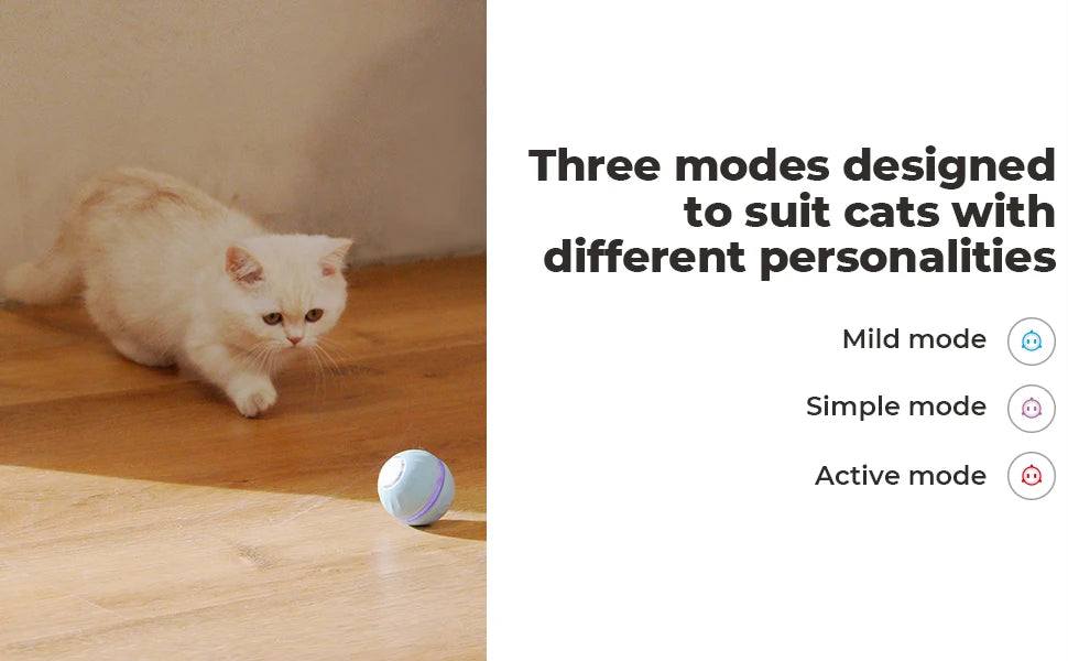KitPlus Interactive Cat Ball Toy With USB Rechargeable by PawHaven