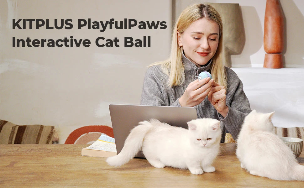 KitPlus Interactive Cat Ball Toy With USB Rechargeable by PawHaven