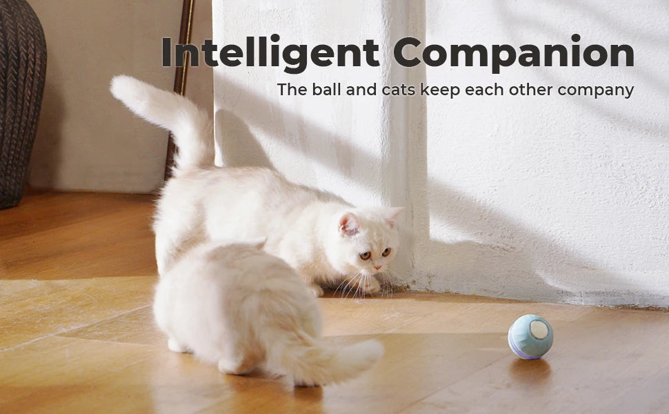 KitPlus Interactive Cat Ball Toy With USB Rechargeable by PawHaven