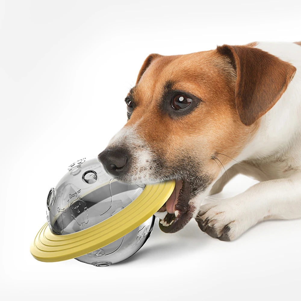 Premium Treat Puzzle Ball Feeder for Dogs and Cats by PawHaven