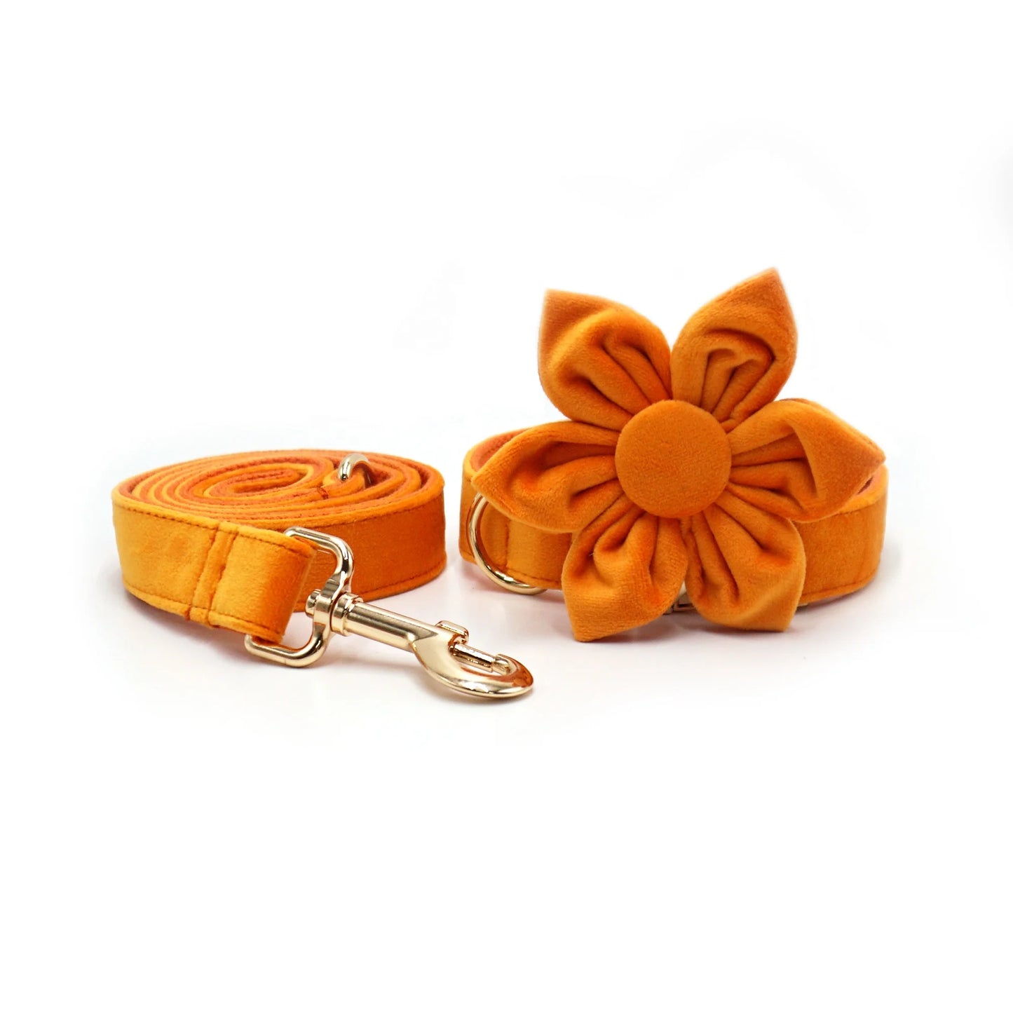 Velvet Personalised Dog Flower Collar And Leash Set by PawHaven