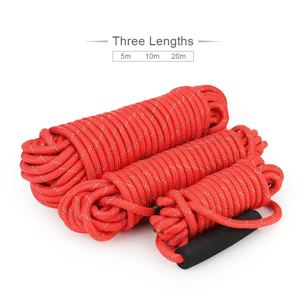 Reflective Dog Leashes Long Pet Leash Outdoor Puppy Cat Dog Training Walk Tracking Rope 5M/10M/20M by PawHaven