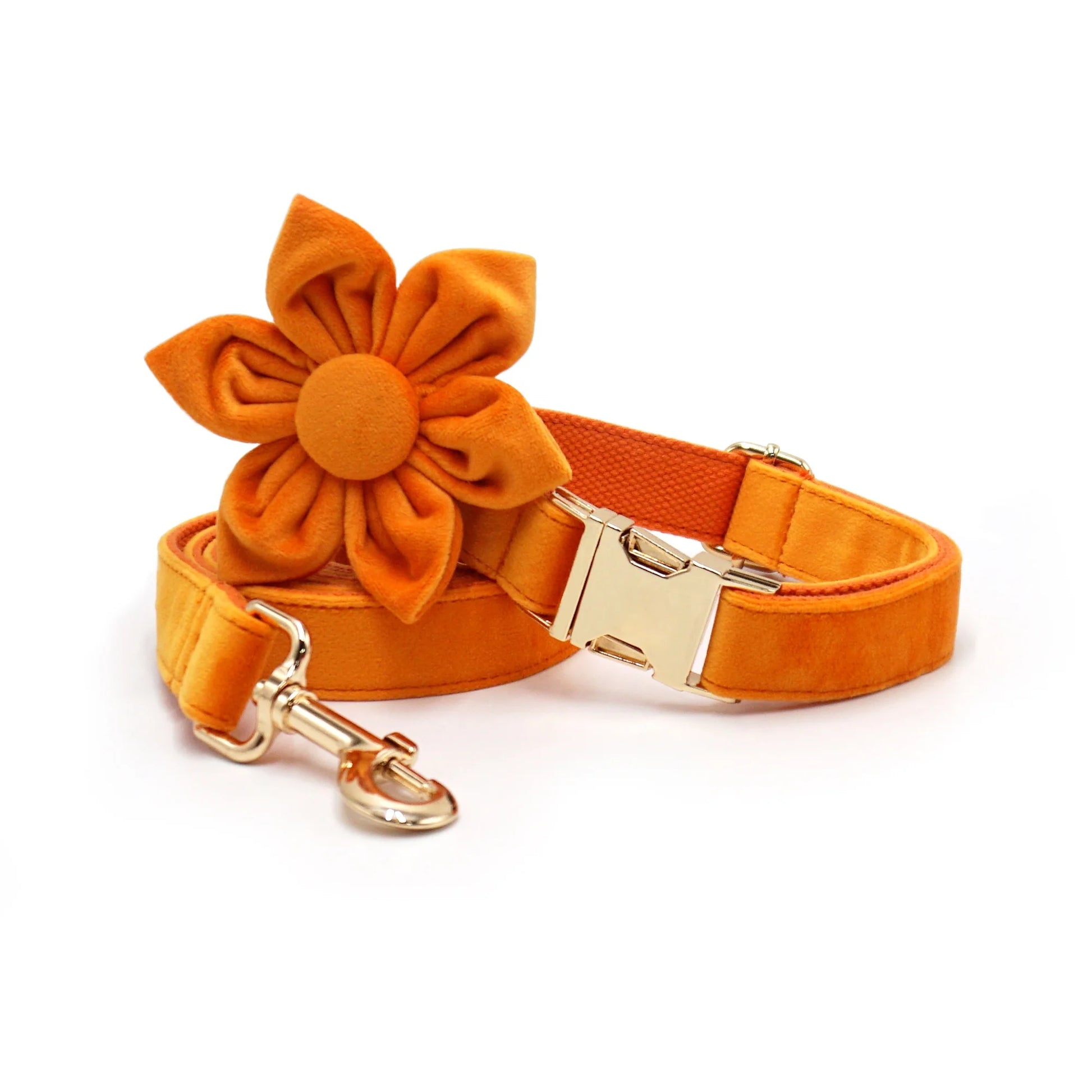 Velvet Personalised Dog Flower Collar And Leash Set by PawHaven
