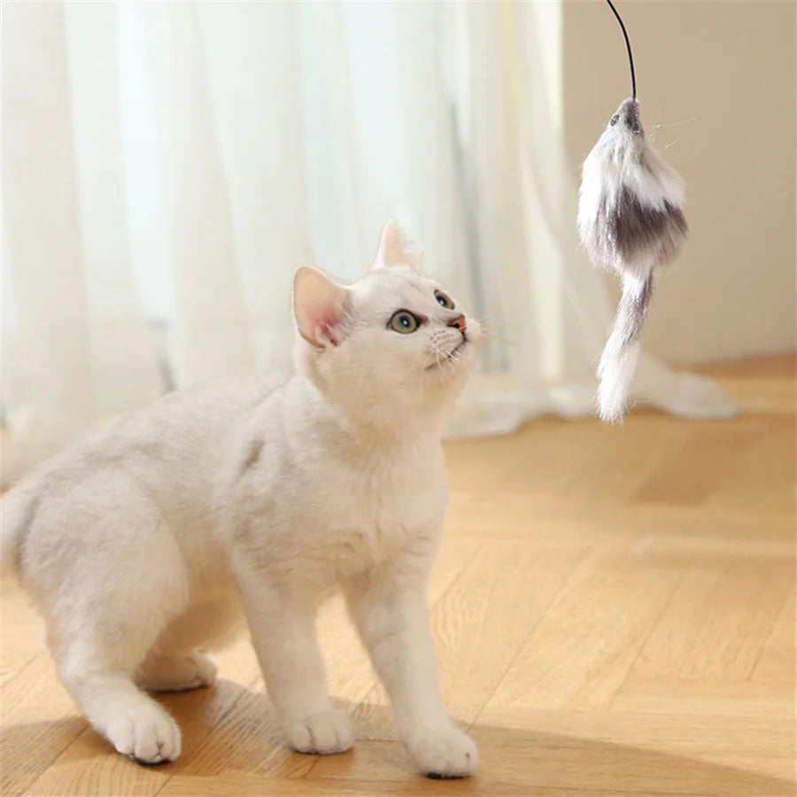 "Battery-Operated" Interactive Cat Toy Ball With Tracking Mouse - Automatic Rolling Teaser For All Breeds, Battery-Powered (Batt by PawHaven