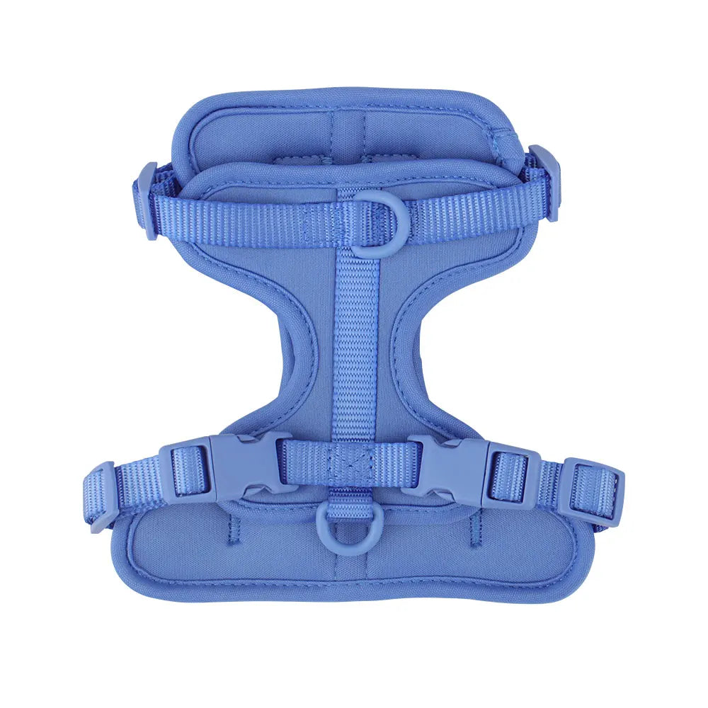 Breathable Lightweight Dog Harness Adjustable Pet Chest Strap Outdoor Walk Training Pet Harenss for Small Medium Dog by PawHaven