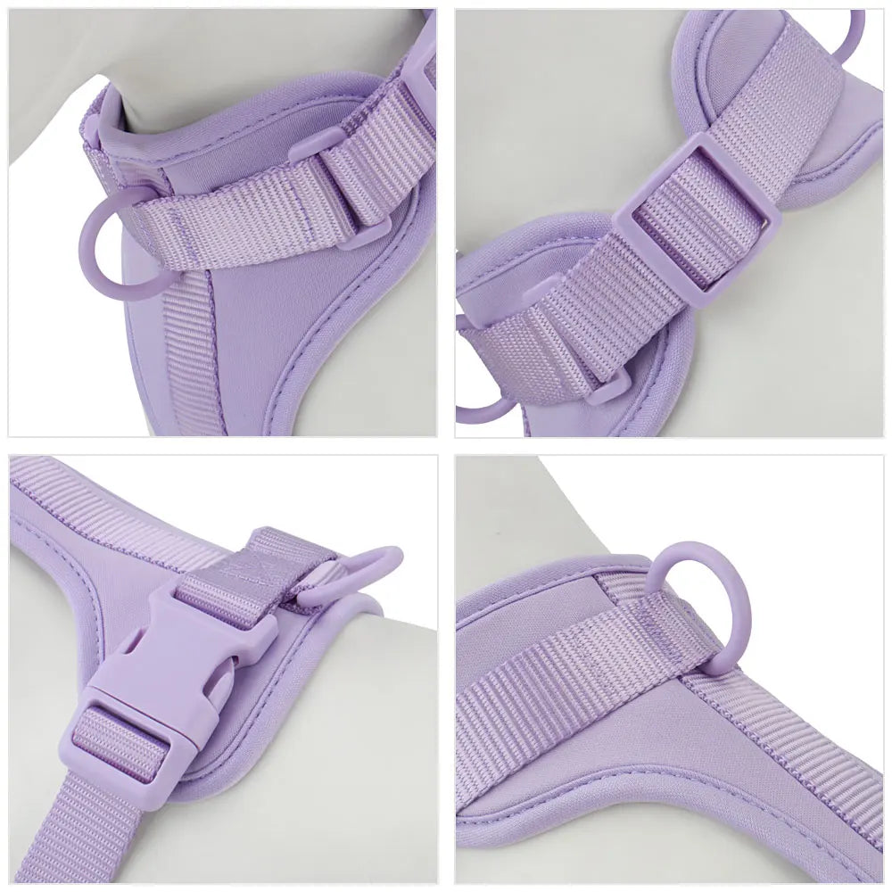 Breathable Lightweight Dog Harness Adjustable Pet Chest Strap Outdoor Walk Training Pet Harenss for Small Medium Dog by PawHaven