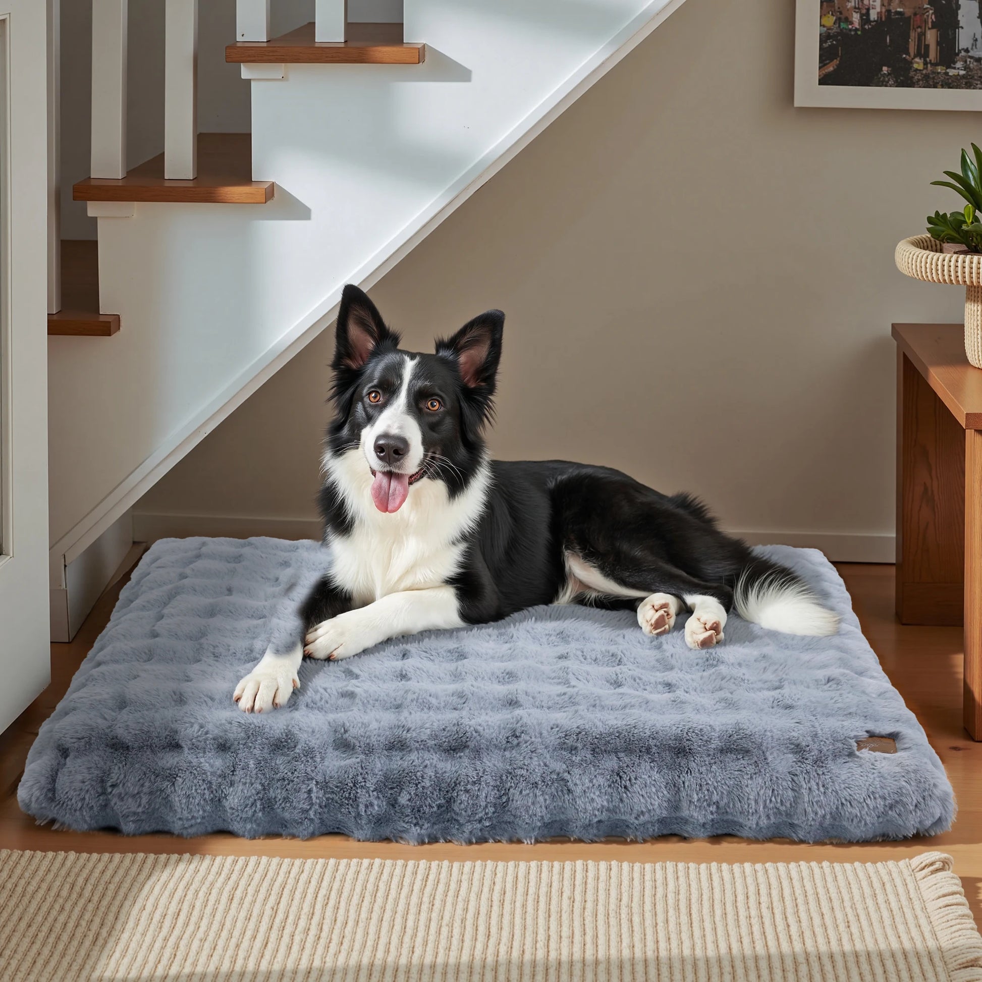Ultra Plush Dog Bed Soft Pet Cushion Large Dog Crate Puppy Mattress Washable Mat by PawHaven