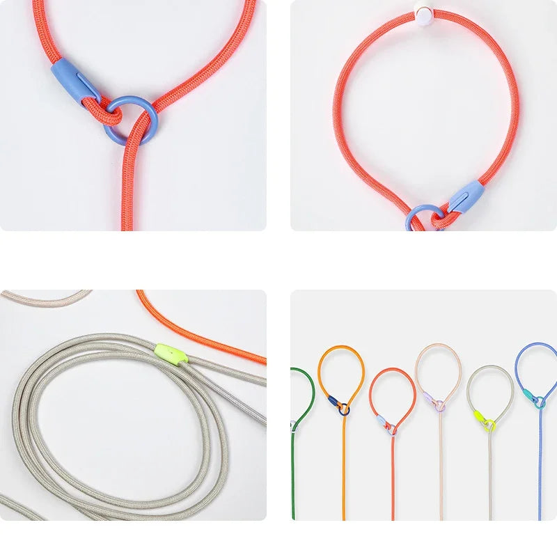 Nylon Colourful Leashes Pet Small Dog Round Rope Lead P Chain Collar Adjustable for Dogs Training Puppy Walking Leash by PawHaven
