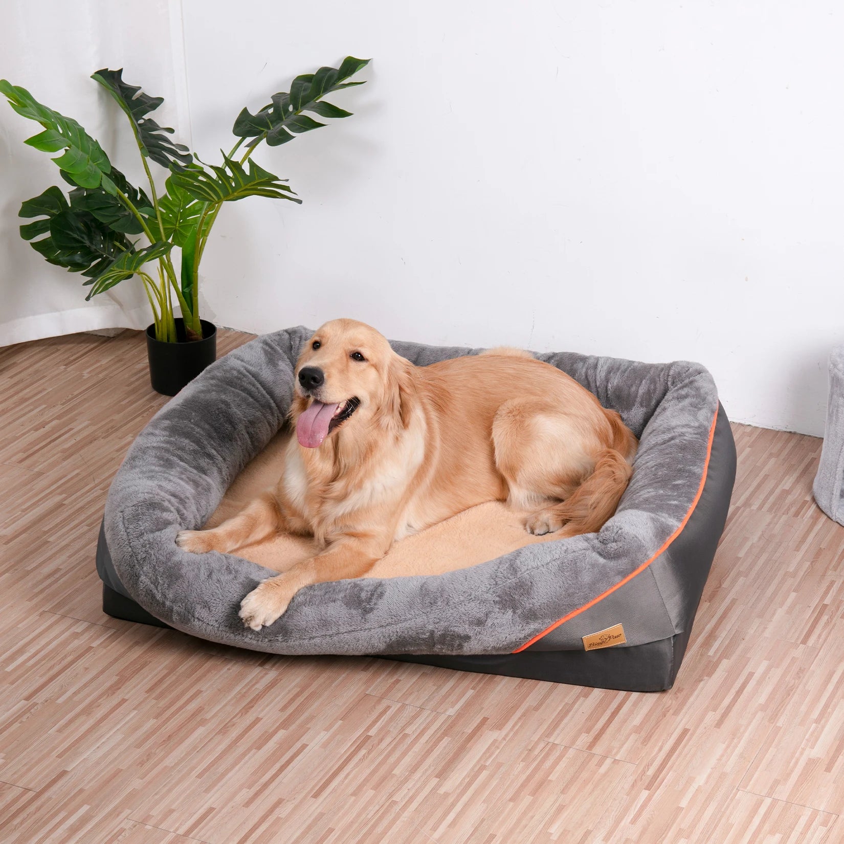 Orthopedic Memory Foam Dog Bed With Bolster by PawHaven