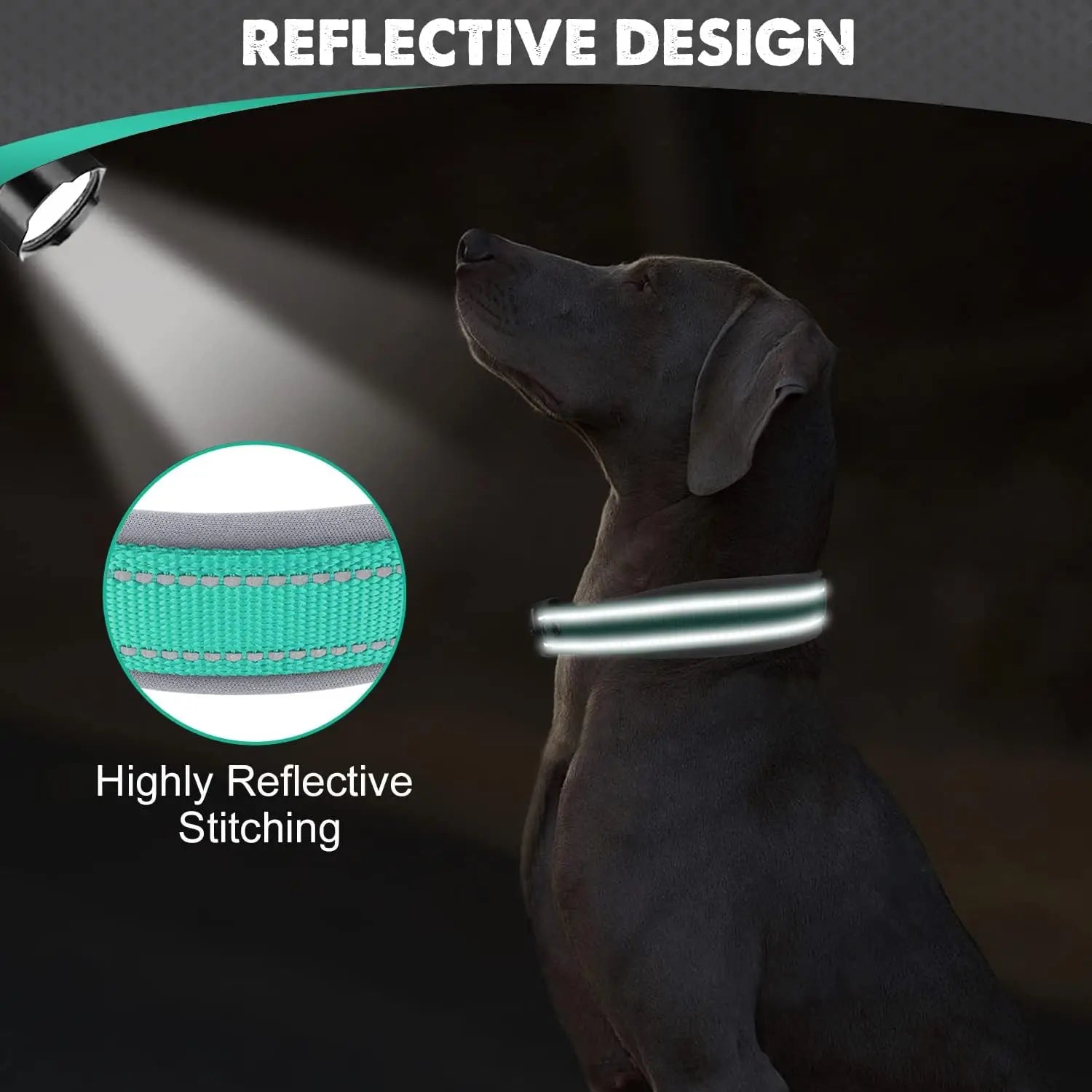 Premium Padded Reflective Dog Collar Adjustable Nylon by PawHaven