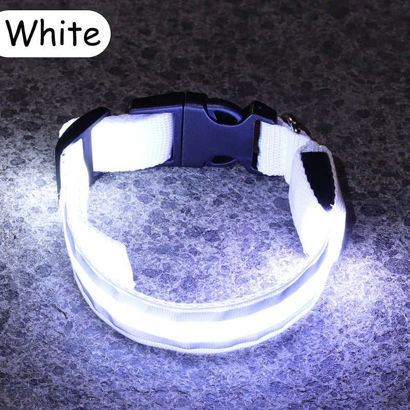 Premium Nylon Night Safety Glow Dog Collar by PawHaven