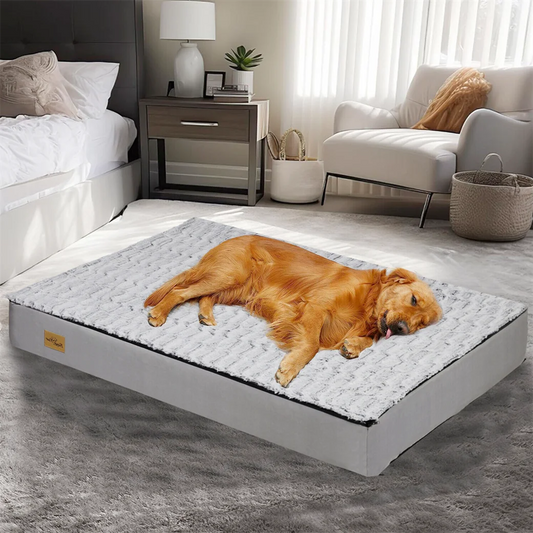 L-3XL Dog Bed Orthopedic Pet Calming Bed Soft Sponge Foam Base Dog Crate Kennels Mat with Removable Cover by PawHaven