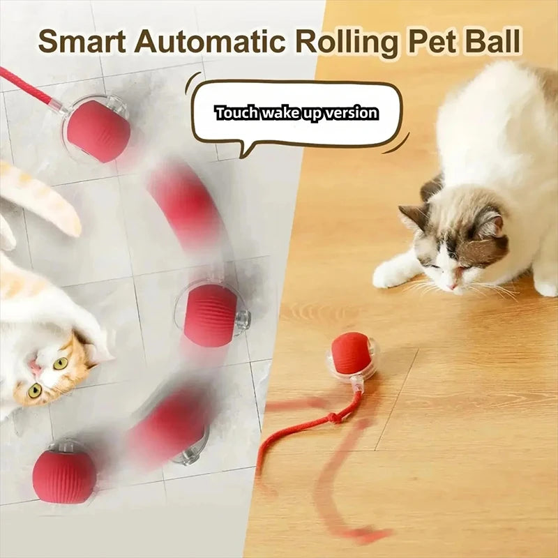 New Cat Interactive Ball Toy,Automatic Rolling Cat Ball Rechargeable,Smart Kitten Interactive Toy,Intelligent Balls Toy for Cat by PawHaven