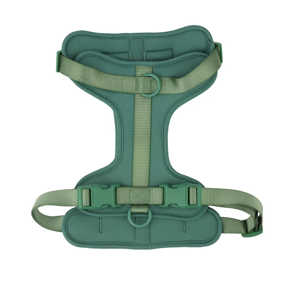 Breathable Lightweight Dog Harness Adjustable Pet Chest Strap Outdoor Walk Training Pet Harenss for Small Medium Dog by PawHaven