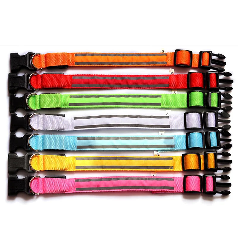 Premium Nylon Night Safety Glow Dog Collar by PawHaven
