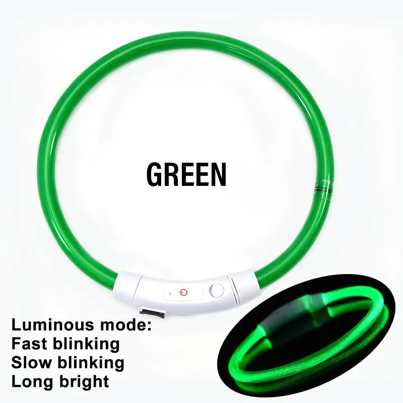 AuroraLux LED Night Collar For Dogs And Cats With 3 Modes by PawHaven