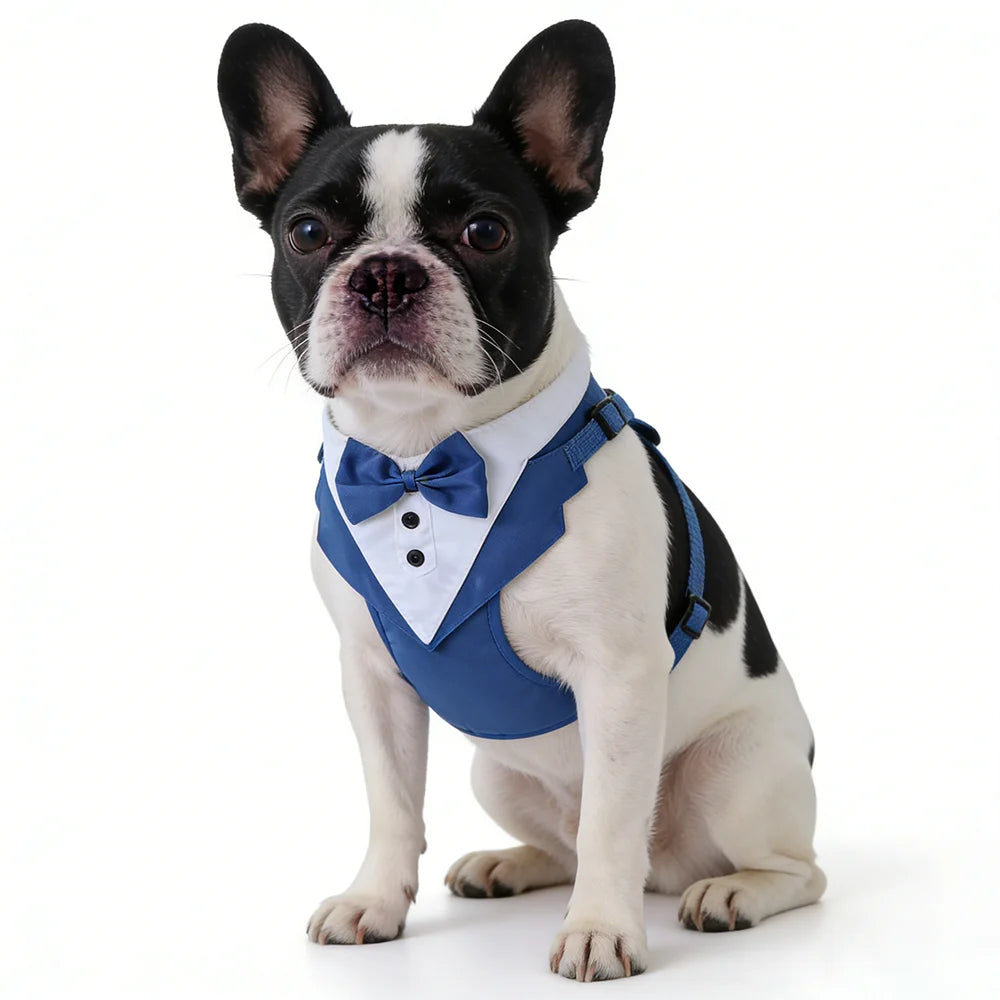 Dog Tuxedo for Wedding Outfit, Dog Suit and Tie Costumes for Birthday, Cosplay, Christmas Party, Pet Formal Wear with Bowtie by PawHaven