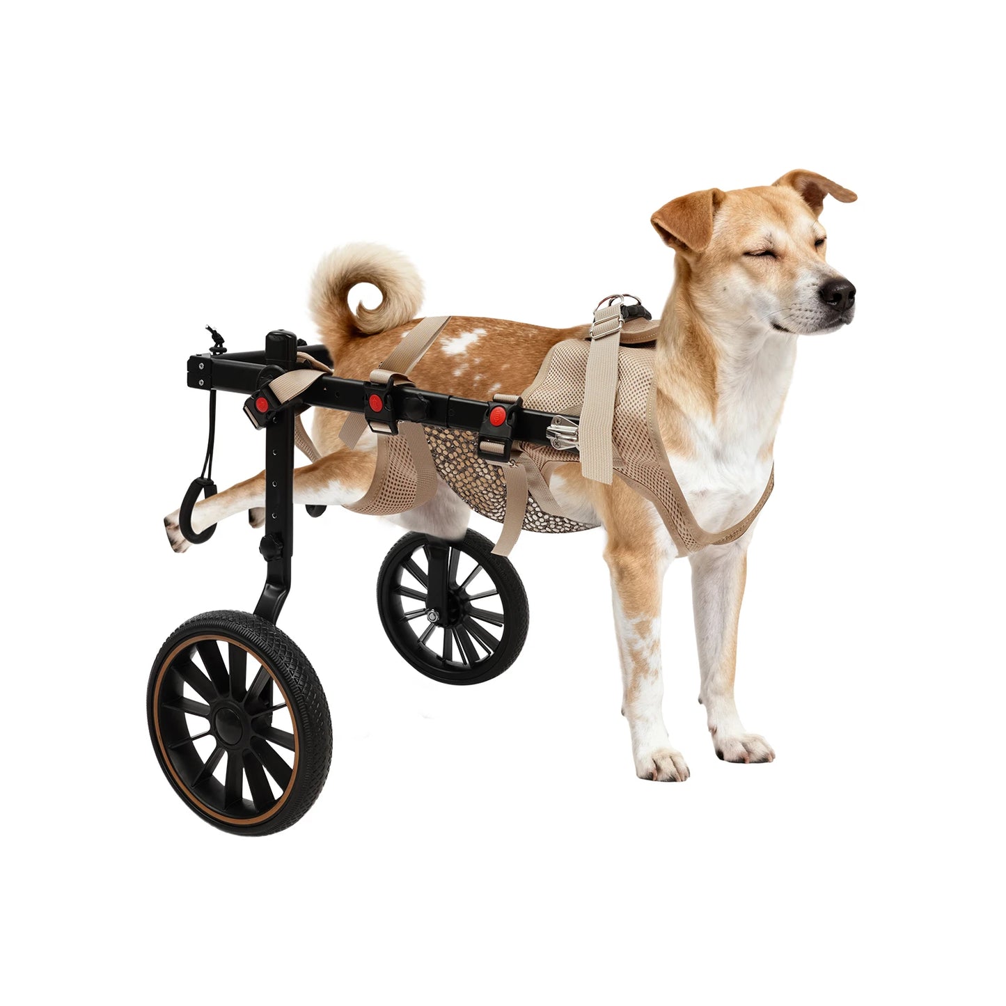 Adjustable Dog Wheelchair Hind Leg Rehabilitation Walker, Aluminum Alloy Pet Walking Aid Cart for Disabled & Senior Dogs by PawHaven