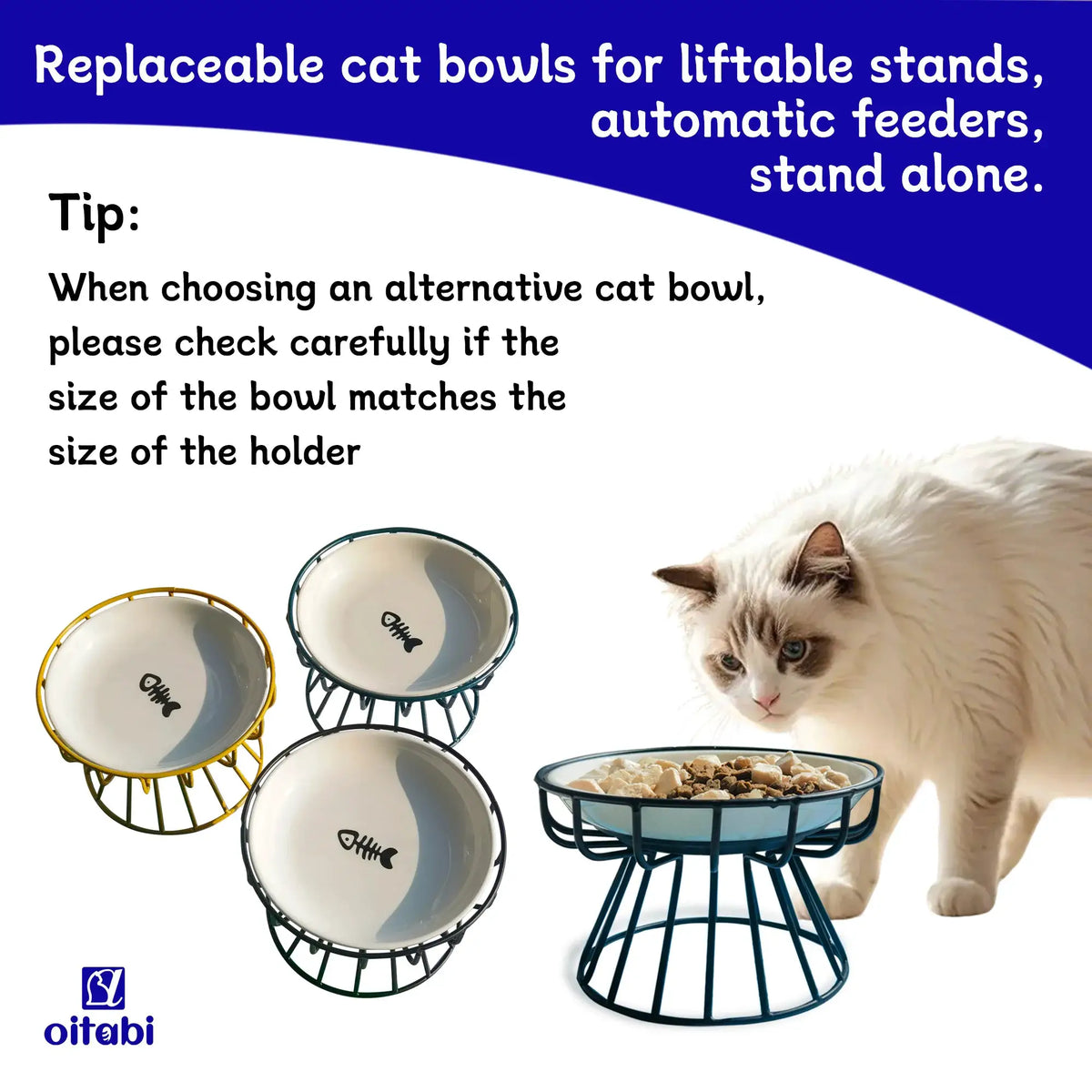 Oitabi 3PCS Cat Food Bowl, Ceramic Cat Bowls, Anti Whisker Fatigue Cats Bowl Set, Shallow Wide Kitten Plates for Food and Water by PawHaven