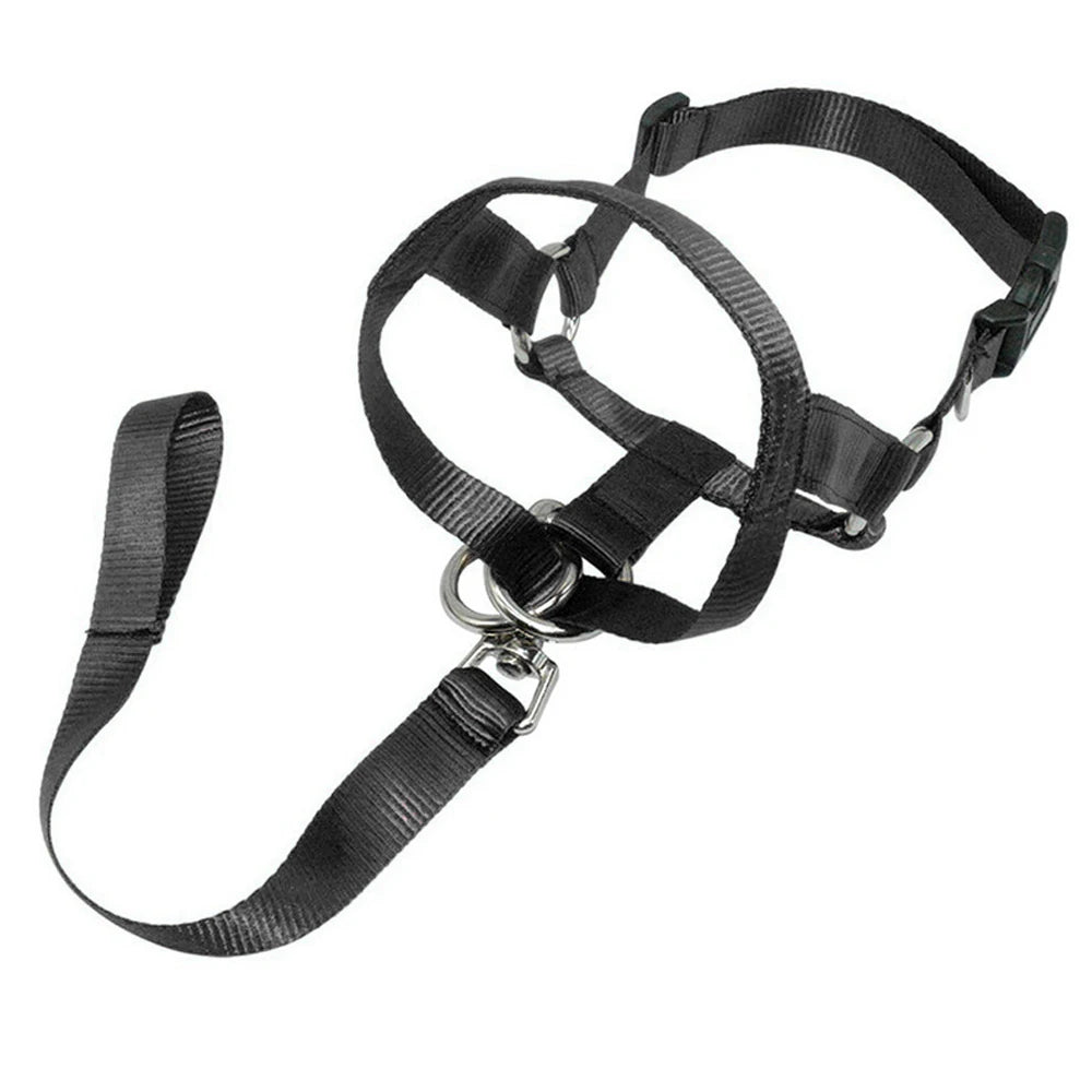 S-XXL Dog Halter Halti Training Head Collar Gentle Leader Harness Nylon Collars by PawHaven