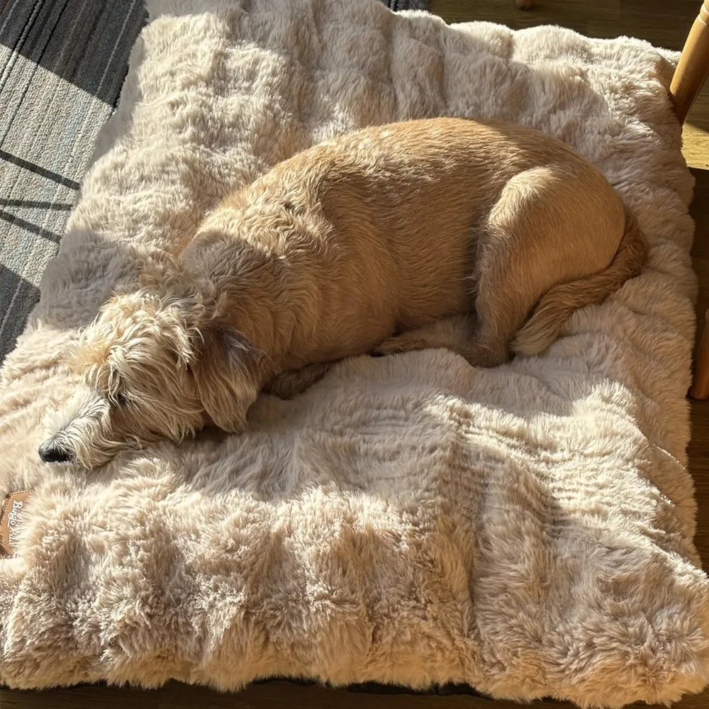 Ultra Plush Dog Bed Soft Pet Cushion Large Dog Crate Puppy Mattress Washable Mat by PawHaven