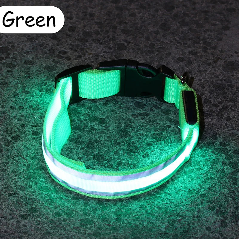 Premium Nylon Night Safety Glow Dog Collar by PawHaven
