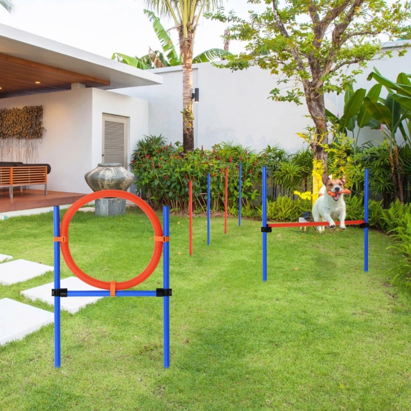 Premium Adjustable Dog Agility Training Set For Exercise by PawHaven