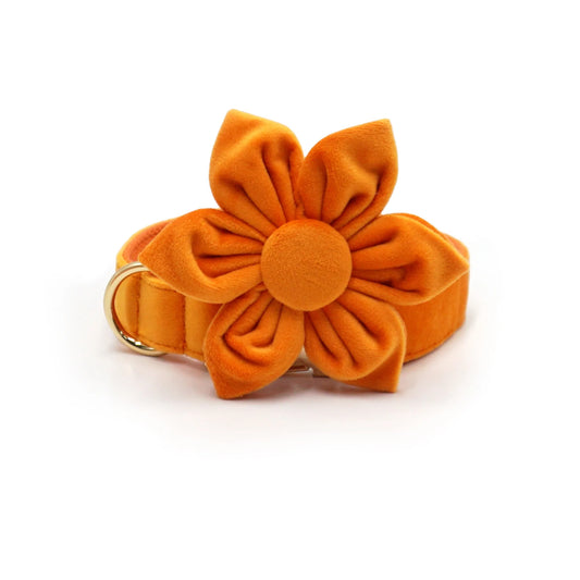 Velvet Personalised Dog Flower Collar And Leash Set by PawHaven