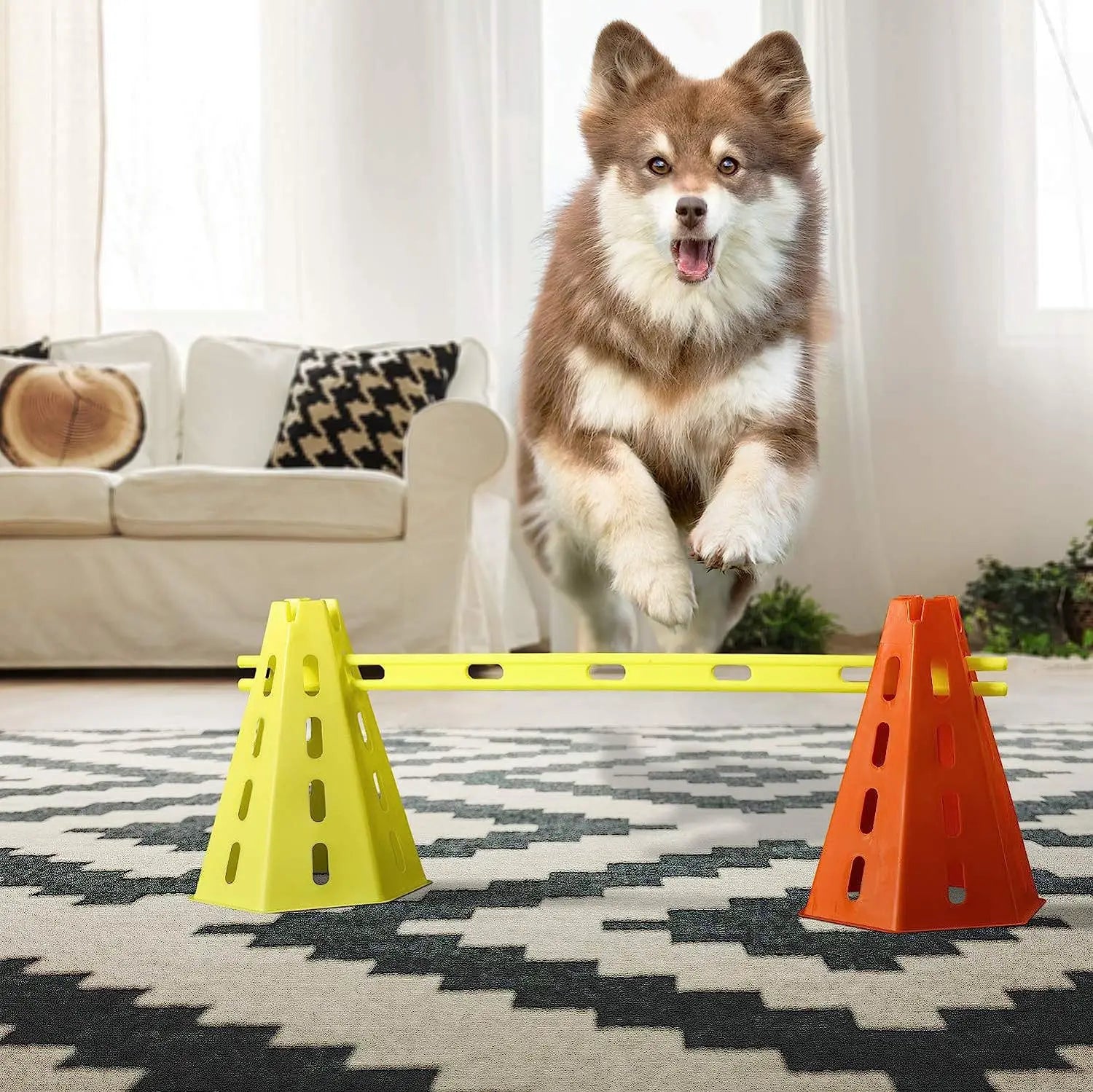 Pet Agility Training Set Jumping Bar Dog Obstacle Training Equipment Hurdle Training Dog Training Device Pet Supplies by PawHaven