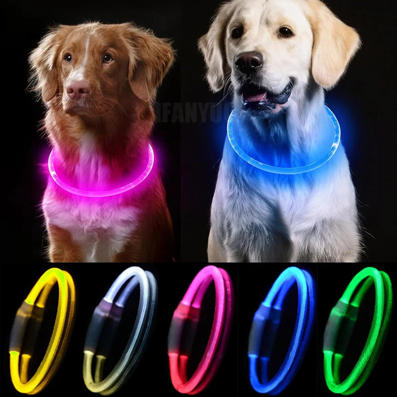 AuroraLux LED Night Collar For Dogs And Cats With 3 Modes by PawHaven