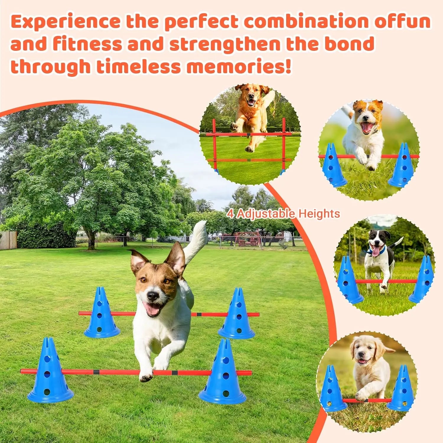Dog Agility Hurdle Cone Set Dog Agility Course Set with 12 Cones 6 Rods Dog Agile Training Equipment for Outdoor Backyard by PawHaven