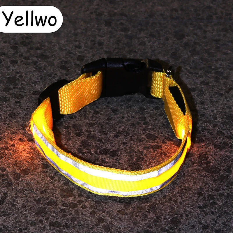 Premium Nylon Night Safety Glow Dog Collar by PawHaven