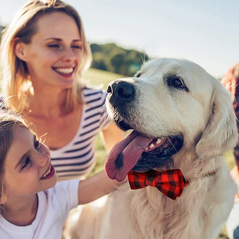 Premium Adjustable Plaid Bow Tie For Dogs And Cats by PawHaven