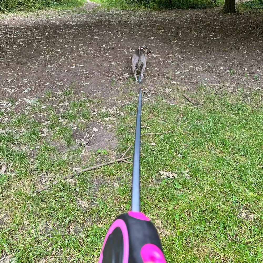 Holapet 8m Retractable Dog Lead For Training Durable by PawHaven