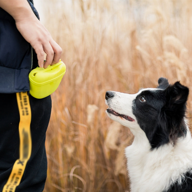 Pet Portable Dog Training Waist Bag Treat Snack Bait Dogs Obedience Agility Outdoor Feed Storage Pouch Food Reward Waist Bags by PawHaven