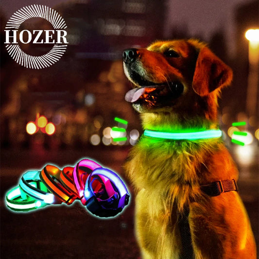 Premium Nylon Night Safety Glow Dog Collar by PawHaven
