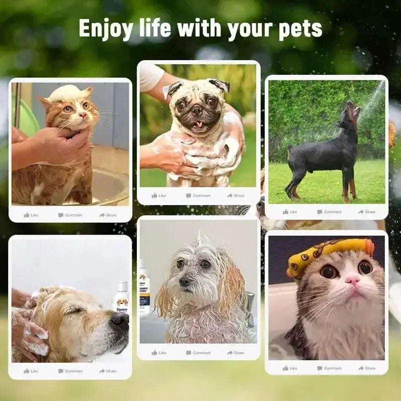 Puppy Shampoo And Conditioner 2 In 1 Natural Moisturizing Shampoo Moisturizing Dog Shampoo For Sensitive Skin PH Balanced by PawHaven