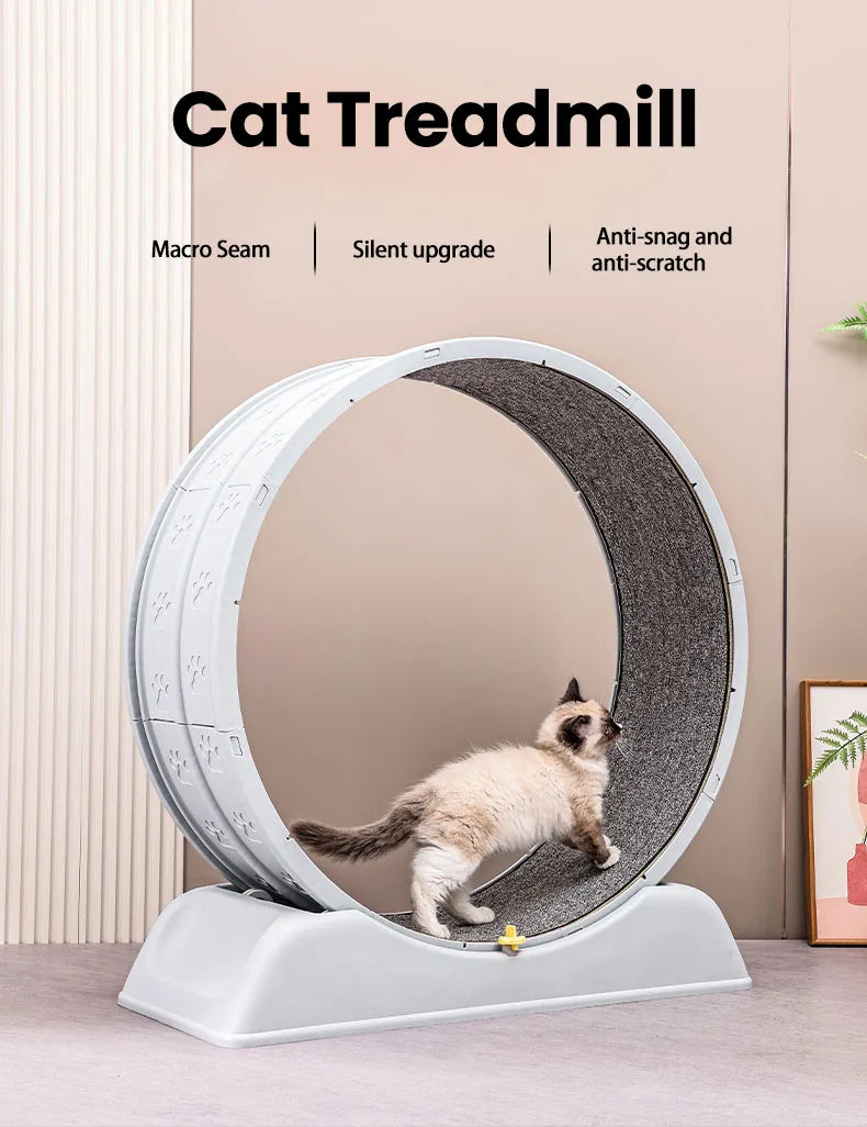 Cat Running Exercise Wheel Treadmill, Ultra-Quiet Safety Cat Training Toy with and Locking Mechanism,Removable Carpeted Runway by PawHaven